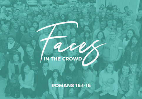 Faces In the Crowd Web